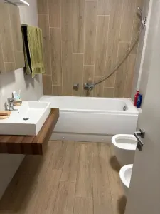 Apartament 1 camera Timișoara - poza 4