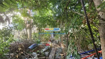 Teren București - poza 2