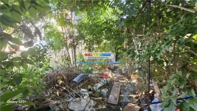 Teren București - poza 3