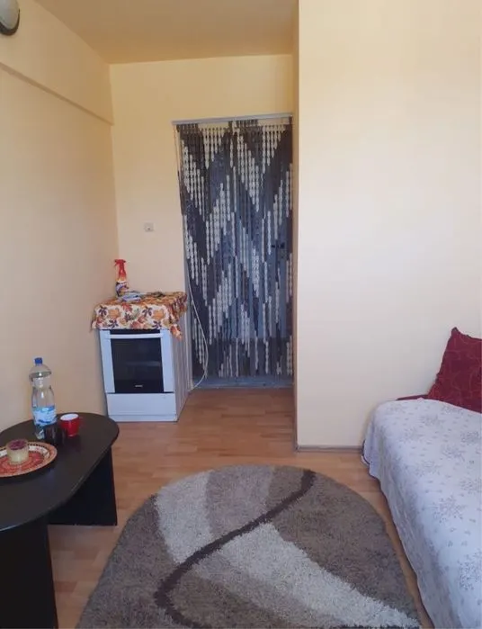 Apartament 1 camera Timișoara - poza 1