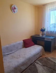 Apartament 1 camera Timișoara - poza 2
