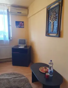 Apartament 1 camera Timișoara - poza 4