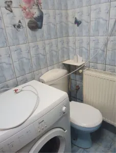 Apartament 1 camera Timișoara - poza 5