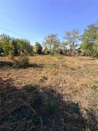 Casă 3 camere Pogoanele - poza 5