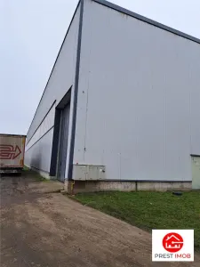 De inchiriat hala industriala - Vidrasau