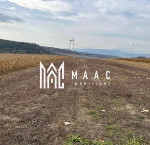 Teren extravilan de vânzare | Daia | 8.000 mp | agricol - Daia