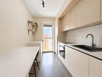 Apartament 2 camere Timișoara - poza 7