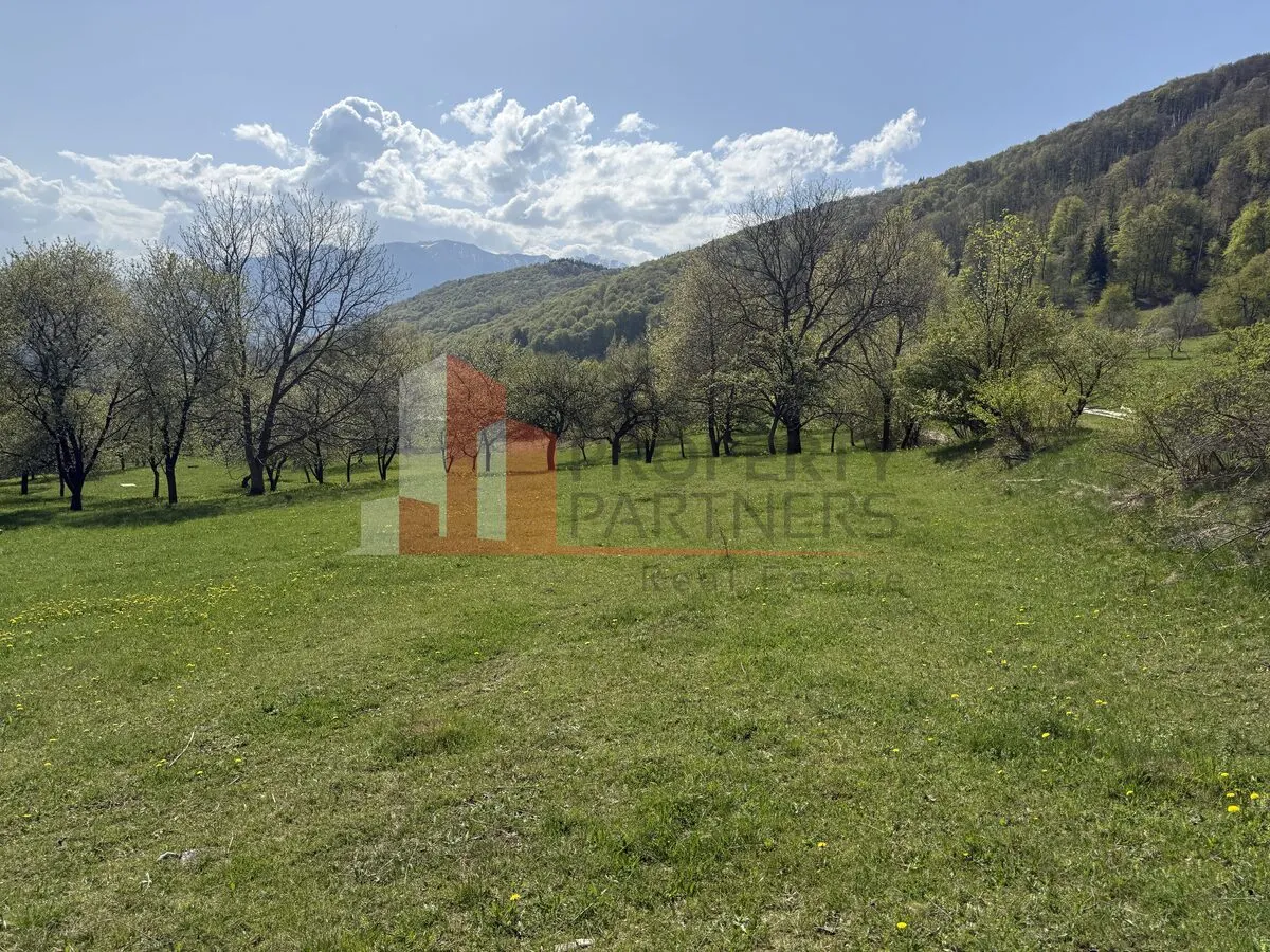 Teren Bran - poza 1