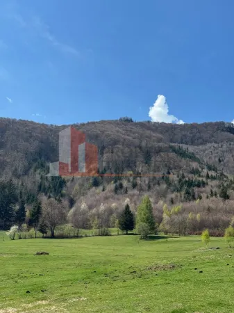 Teren Bran - poza 12