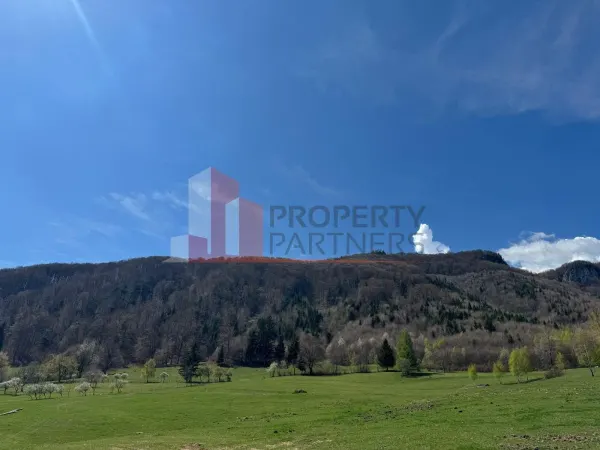 Teren Bran - poza 13