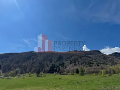 Teren Bran - poza 13