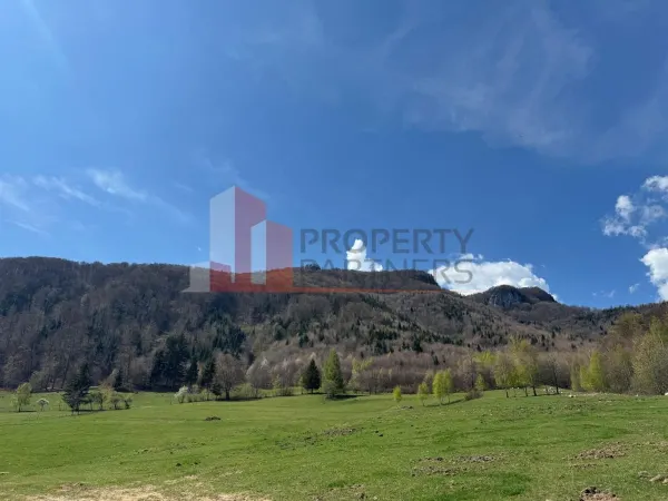 Teren Bran - poza 15