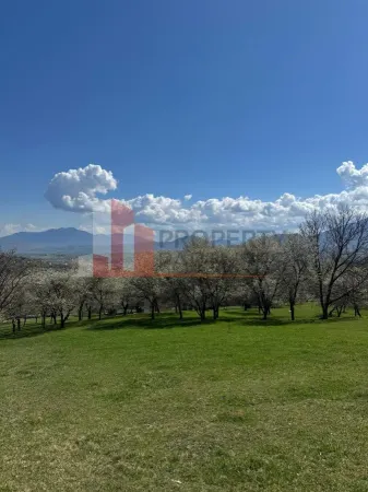 Teren Bran - poza 16