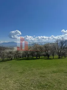 Teren Bran - poza 16
