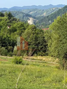 Teren Bran - poza 12