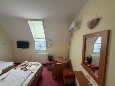 Hotel/Pensiune Marghita - poza 11
