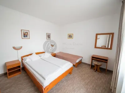 Hotel/Pensiune Marghita - poza 23