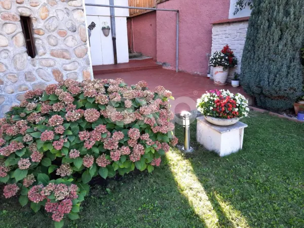 Apartament 4 camere Pitești - poza 24