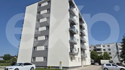 Apartament 2 camere Mioveni - poza 7