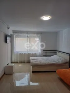 Apartament 1 camera Pitești - poza 7