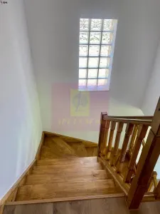 Casă 4 camere Mogoșoaia - poza 16
