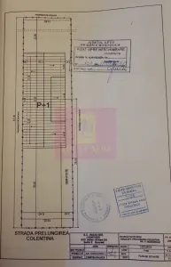 Casă 4 camere Mogoșoaia - poza 39