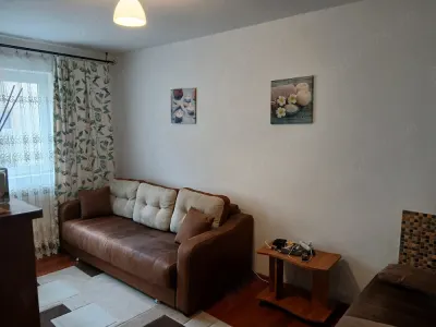 Apartament 1 camera Timișoara - poza 9