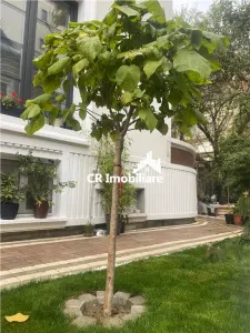Casă 6 camere București - poza 6
