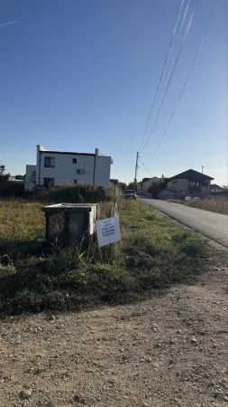 Teren Berceni - poza 2