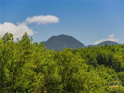 Hotel/Pensiune Brașov - poza 19