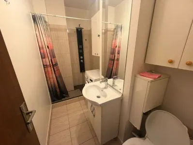 Apartament 1 camera Oradea - poza 5