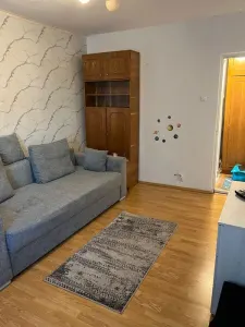 Apartament 1 camera Vaslui - poza 1