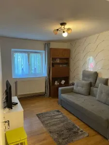 Apartament 1 camera Vaslui - poza 2