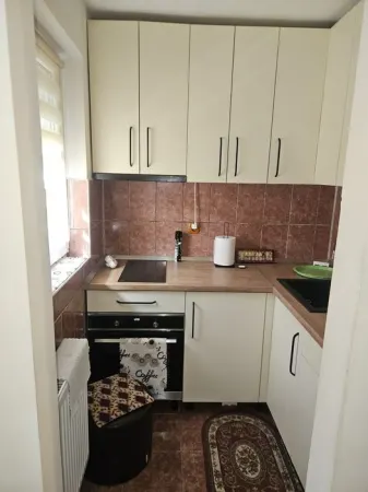 Apartament 1 camera Arad - poza 1