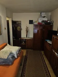 Apartament 1 camera Arad - poza 4