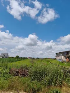 Teren intravilan 1.500 mp | Moara Vlasiei | Utilitati in apropiere | 82.500 € - Moara Vlasiei
