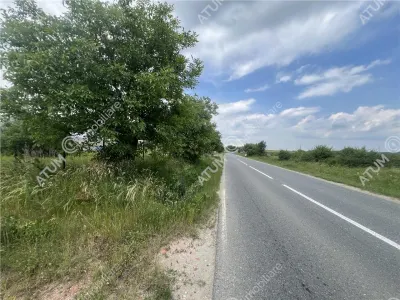 De vanzare teren curti constructii de 10100 mp in Daia - Daia