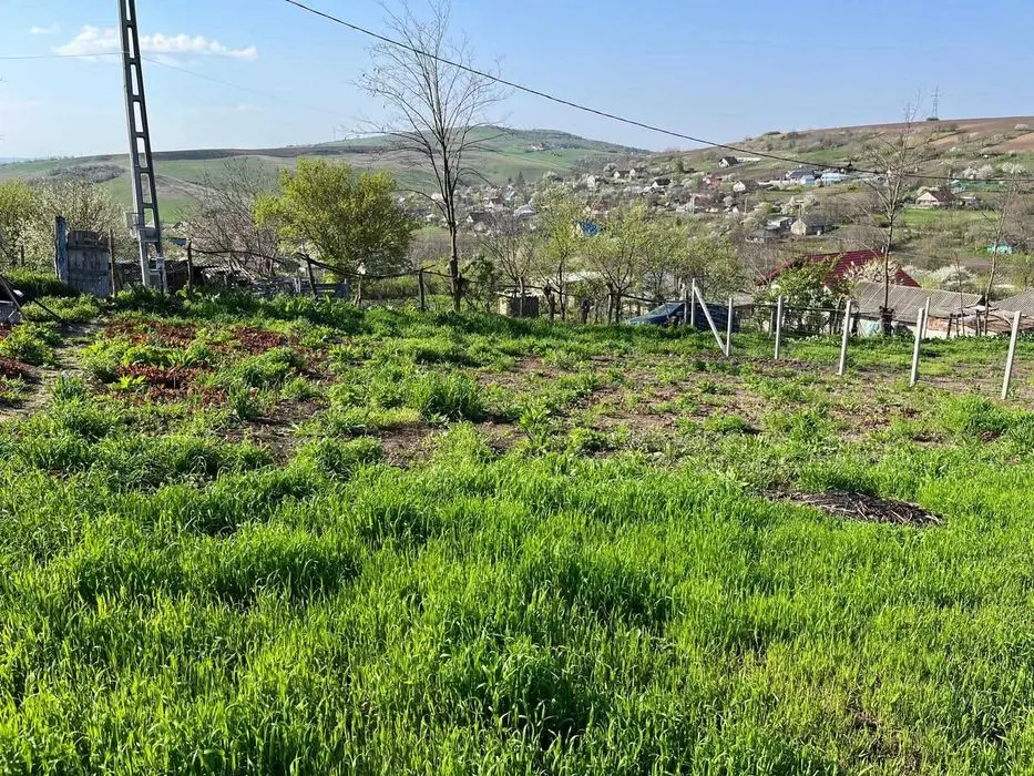 Teren Cuza Voda - poza 1