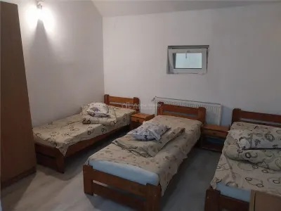 Casă 15 camere Cristian - poza 2