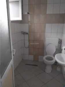Casă 15 camere Cristian - poza 10