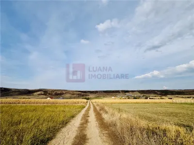 Teren extravilan 6.000 mp de vanzare | Sibiu - Daia | priveliste spectaculoasa - Daia