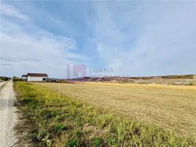 Teren extravilan 18.000 mp de vanzare | Sibiu - Daia | priveliste spectaculoasa - Daia