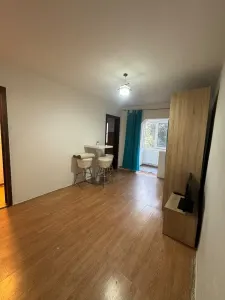 Apartament 1 camera Timișoara - poza 3