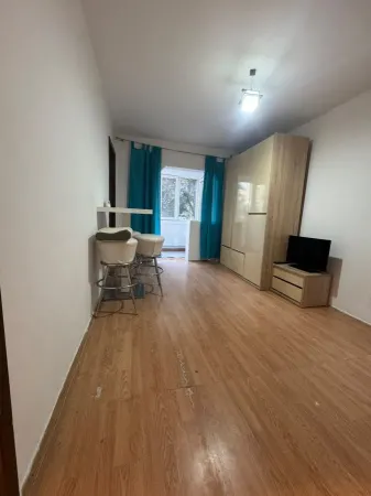 Apartament 1 camera Timișoara - poza 4