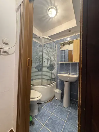 Apartament 1 camera Timișoara - poza 5