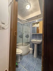 Apartament 1 camera Timișoara - poza 5