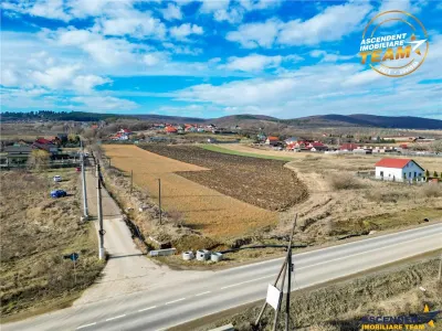 Teren Sfântu Gheorghe - poza 14