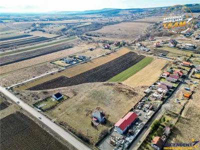 Teren Sfântu Gheorghe - poza 16