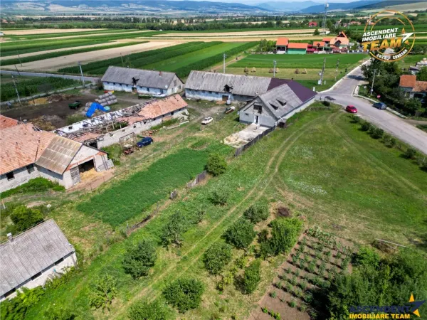 Casă 5 camere Fotos - poza 3