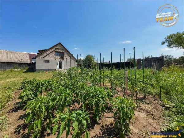Casă 5 camere Fotos - poza 4
